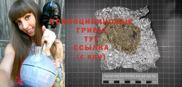 молекула духа Заволжье
