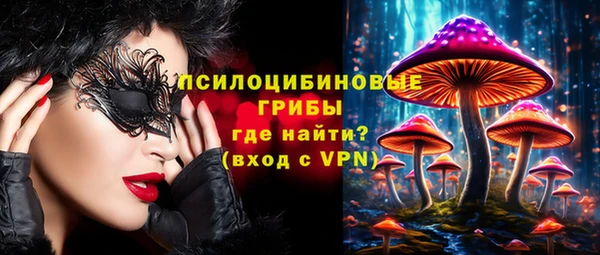 винт Фурманов