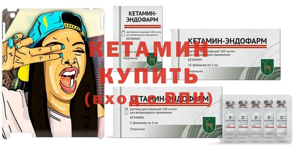 молекула духа Заволжье