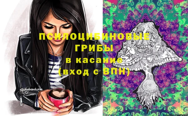 молекула духа Заволжье