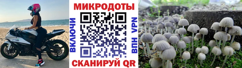 Псилоцибиновые грибы Psilocybine cubensis  закладки  кракен как войти  Усинск 