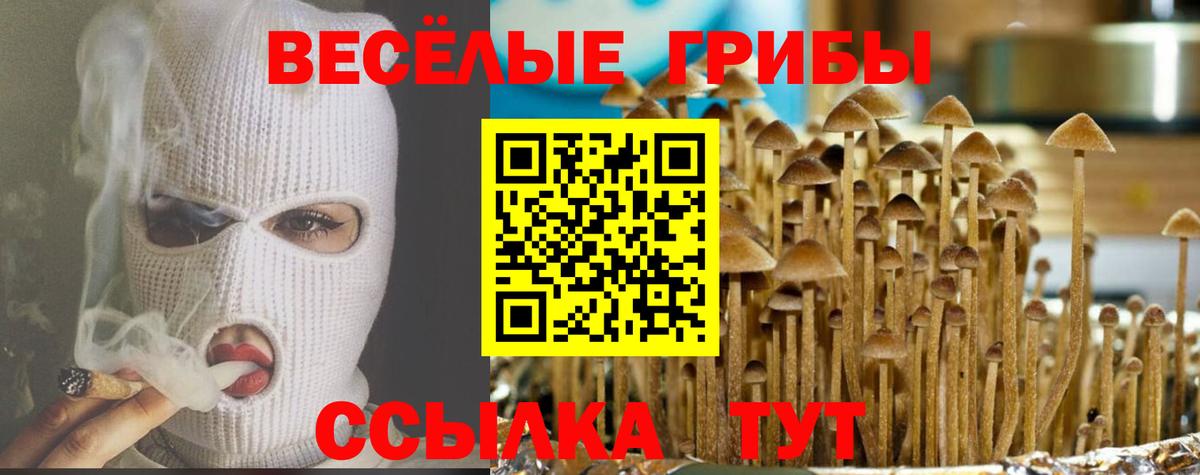 Галлюциногенные грибы Psilocybe  Вход с VPN  Усинск 