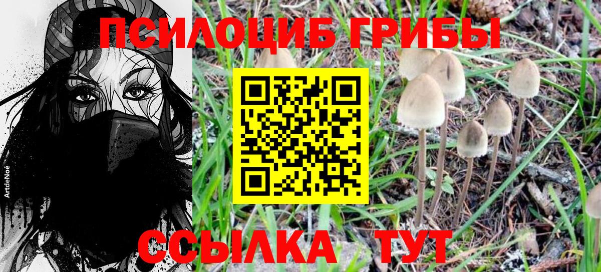 Псилоцибиновые грибы MAGIC MUSHROOMS Усинск